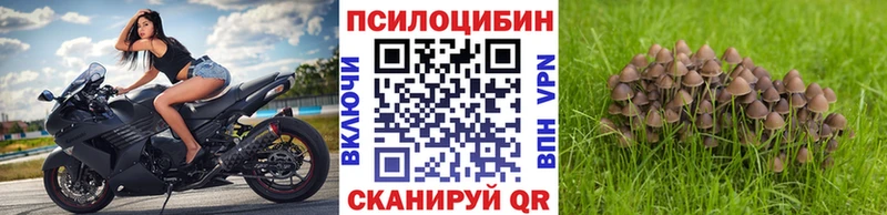 купить наркотик  Чухлома  Галлюциногенные грибы MAGIC MUSHROOMS 